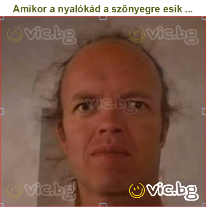 Amikor a nyalókád a szőnyegre esik ...