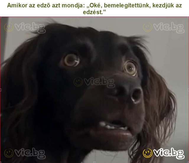 Amikor az edző azt mondja: „Oké, bemelegítettünk, kezdjük az edzést.”