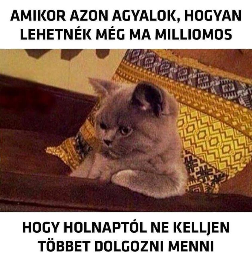 Amikor azon agyalok, hogyan lehetnék még ma milliomos hogy holnaptól ne kelljen többet dolgozni menni