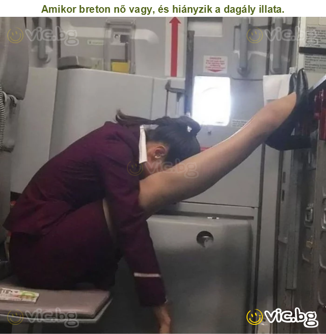 Amikor breton nő vagy, és hiányzik a dagály illata.