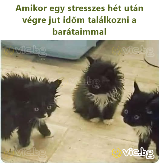 Amikor egy stresszes hét után végre jut időm találkozni a barátaimmal