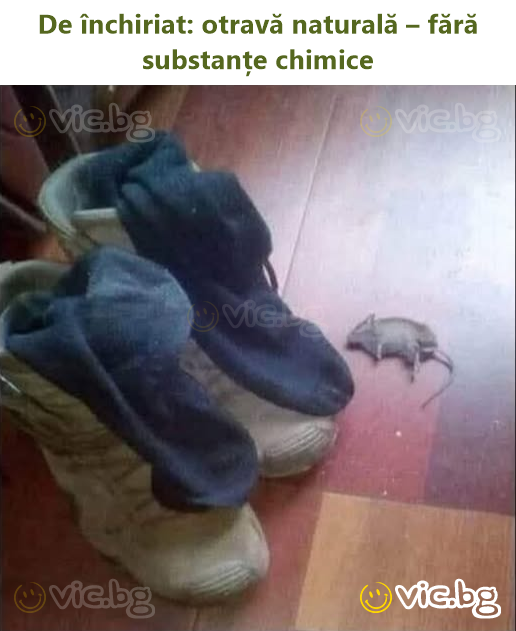 Amikor előző este szivacsként ittál, semmire sem emlékszel, de egy nő énekére ébredsz a zuhanyban – és ezekre az ágyban.