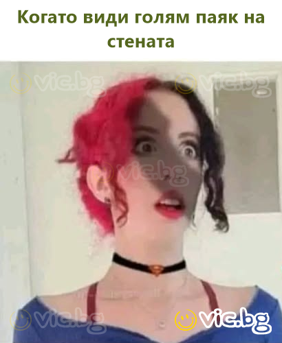 Amikor meglát egy nagy pókot a falon