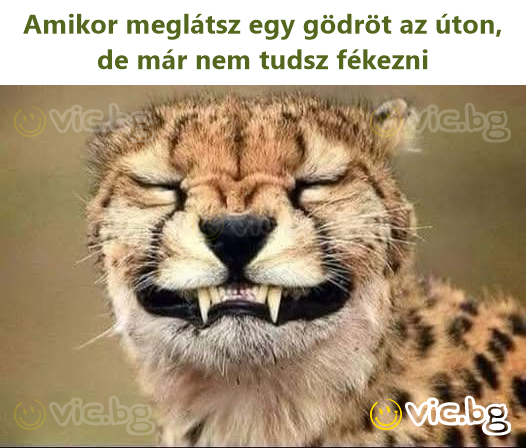 Amikor meglátsz egy gödröt az úton, de már nem tudsz fékezni