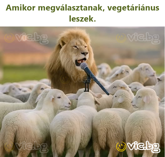 Amikor megválasztanak, vegetáriánus leszek.