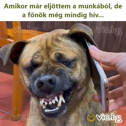 Amikor már eljöttem a munkából, de a főnök még mindig hív...