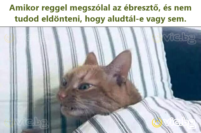Amikor reggel megszólal az ébresztő, és nem tudod eldönteni, hogy aludtál-e vagy sem.