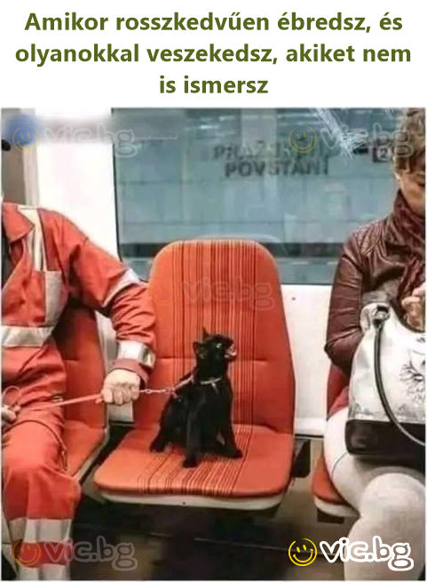 Amikor rosszkedvűen ébredsz, és olyanokkal veszekedsz, akiket nem is ismersz