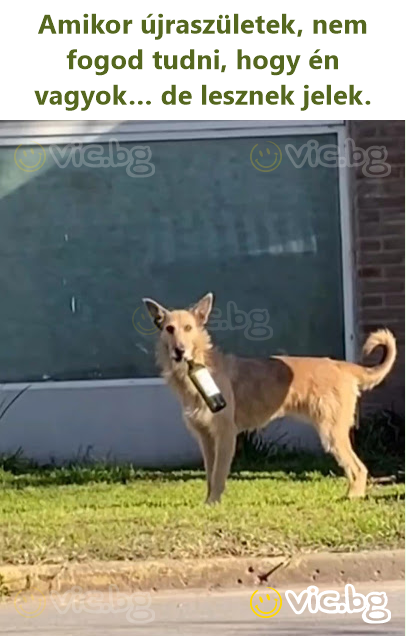 Amikor újraszületek, nem fogod tudni, hogy én vagyok… de lesznek jelek.