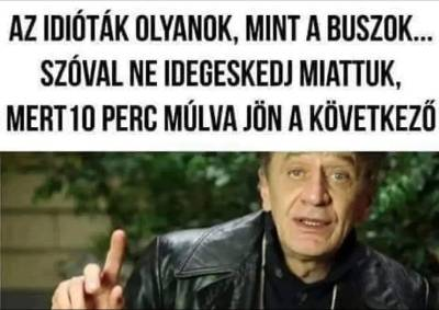 Az idióták olyanok, mint a buszok.Szóval ne idegeskedj miattuk, mert 10 perc múlva a következó.