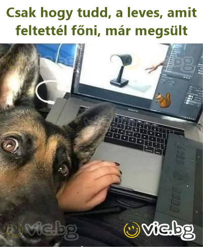 Csak hogy tudd, a leves, amit feltettél főni, már megsült