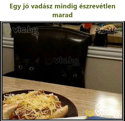 Egy jó vadász mindig észrevétlen marad