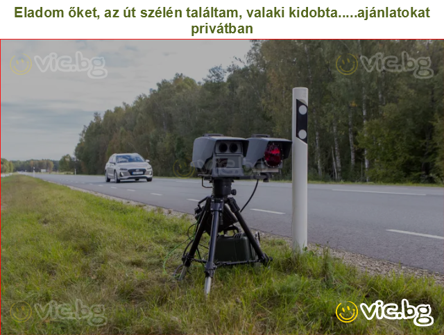 Eladom őket, az út szélén találtam, valaki kidobta.....ajánlatokat privátban