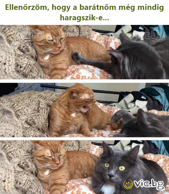 Ellenőrzöm, hogy a barátnőm még mindig haragszik-e...