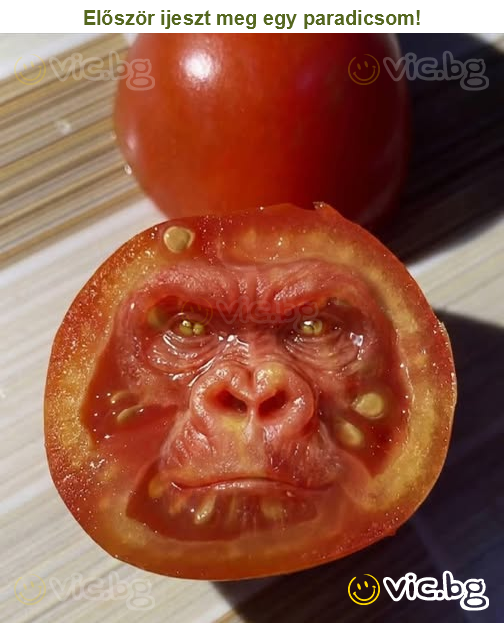 Először ijeszt meg egy paradicsom!