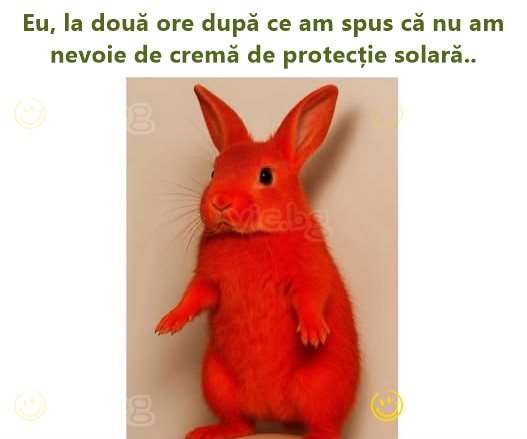 Eu, la două ore după ce am spus că nu am nevoie de cremă de protecție solară..