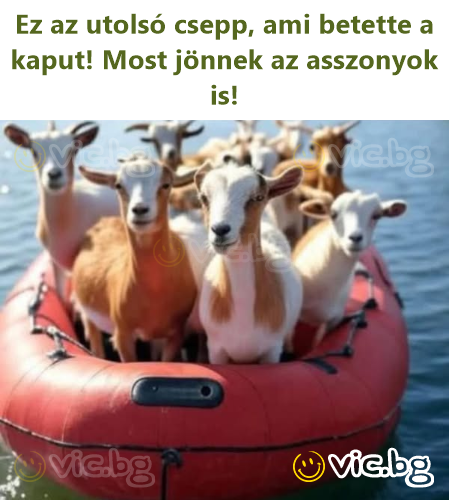 Ez az utolsó csepp, ami betette a kaput! Most jönnek az asszonyok is!