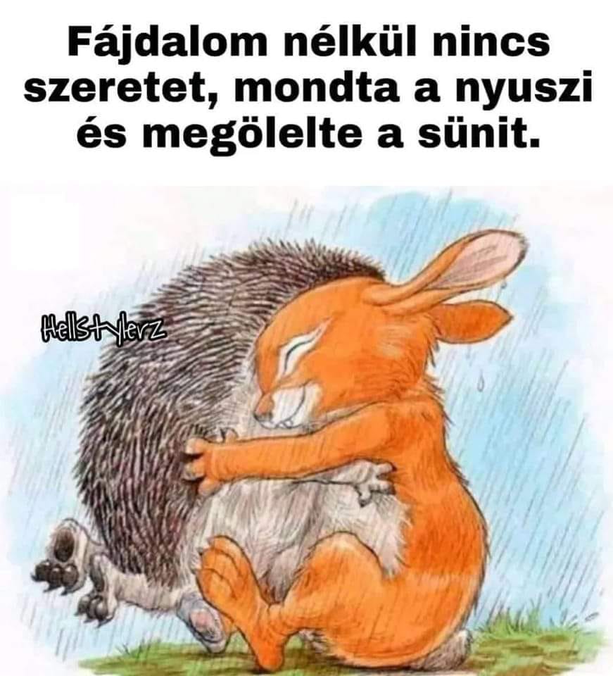 Fåjdalom nélkül nincs szeretet, mondta a nyuszi és megölelte a sünit.