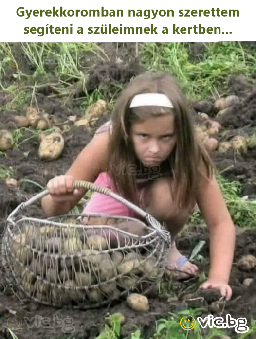 Gyerekkoromban nagyon szerettem segíteni a szüleimnek a kertben...
