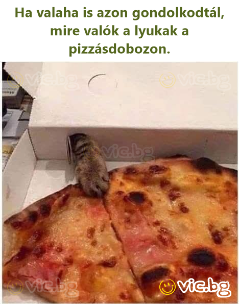 Ha valaha is azon gondolkodtál, mire valók a lyukak a pizzásdobozon.