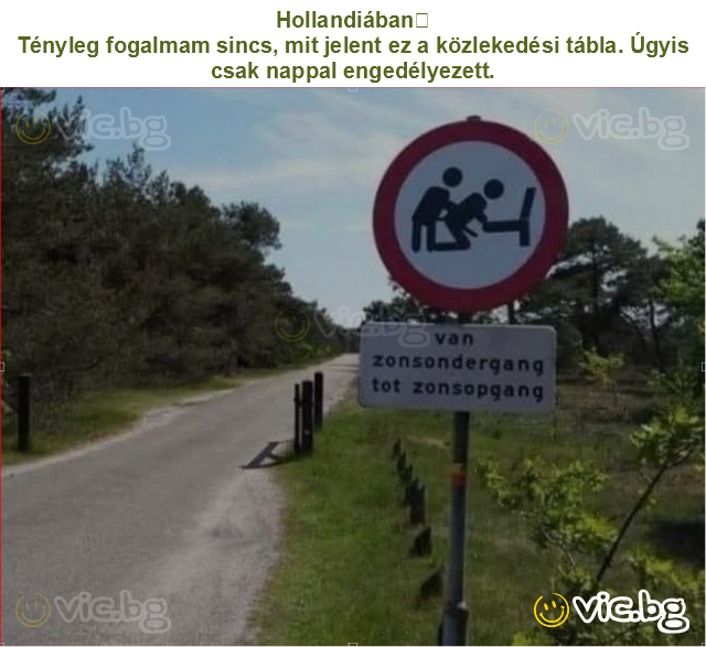 Hollandiában
Tényleg fogalmam sincs, mit jelent ez a közlekedési tábla. Úgyis csak nappal engedélyezett.