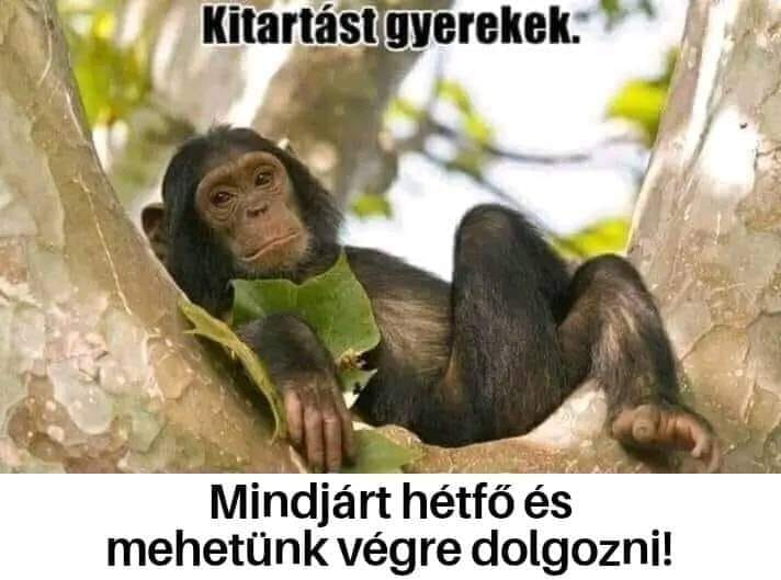 Kitartást gyerekek. Mindjárt hétfó és mehetünk végre dolgozni!