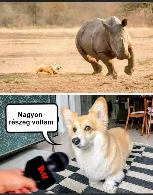 Nagyon részeg voltam