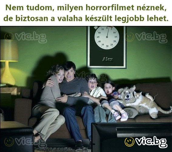 Nem tudom, milyen horrorfilmet néznek, de biztosan a valaha készült legjobb lehet.