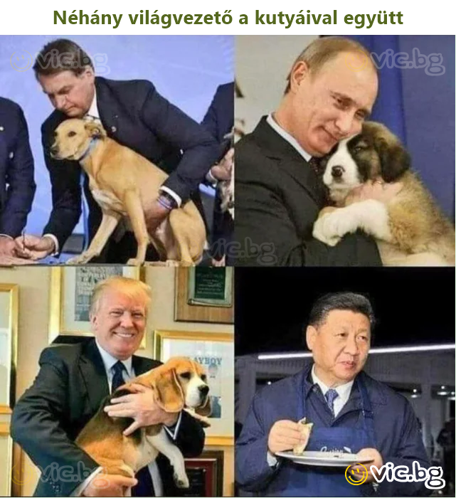 Néhány világvezető a kutyáival együtt