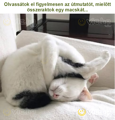 Olvassátok el figyelmesen az útmutatót, mielőtt összeraktok egy macskát...