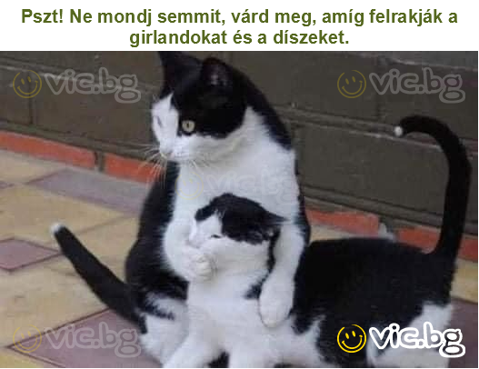 Pszt! Ne mondj semmit, várd meg, amíg felrakják a girlandokat és a díszeket.