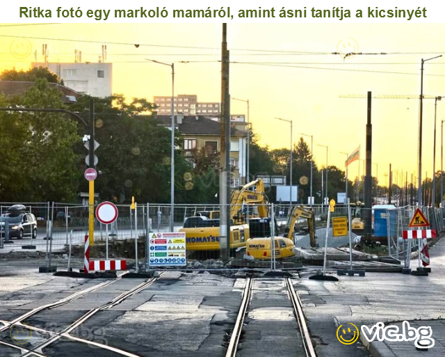Ritka fotó egy markoló mamáról, amint ásni tanítja a kicsinyét