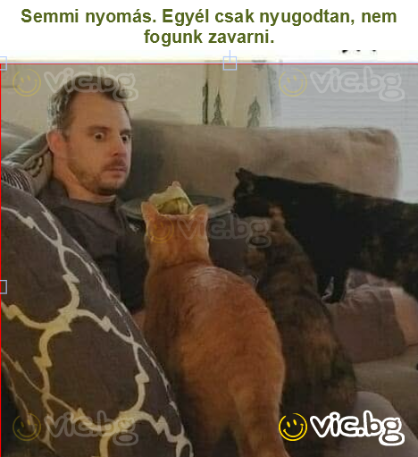 Semmi nyomás. Egyél csak nyugodtan, nem fogunk zavarni.