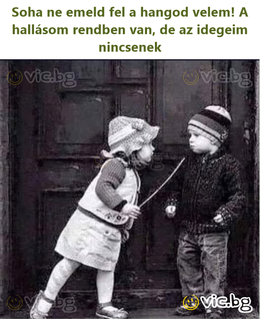 Soha ne emeld fel a hangod velem! A hallásom rendben van, de az idegeim nincsenek