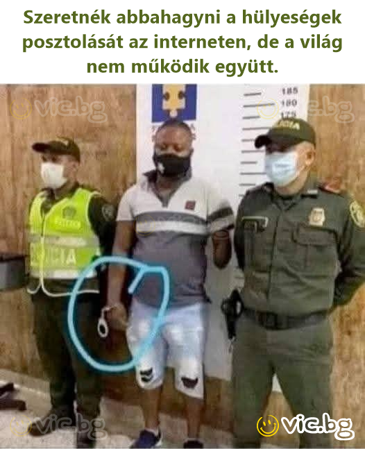 Szeretnék abbahagyni a hülyeségek posztolását az interneten, de a világ nem működik együtt.