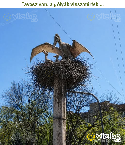 Tavasz van, a gólyák visszatértek ...