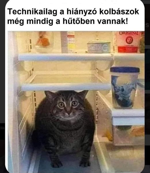 Technikailag a hiányzó kolbászok még mindig a hütöben vannak!