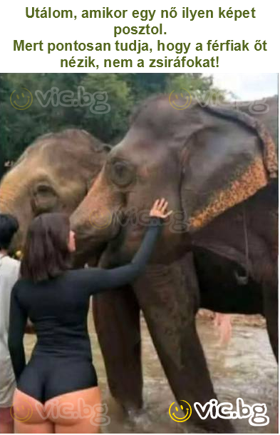 Utálom, amikor egy nő ilyen képet posztol.
Mert pontosan tudja, hogy a férfiak őt nézik, nem a zsiráfokat!