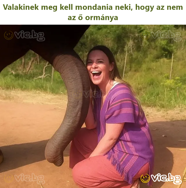 Valakinek meg kell mondania neki, hogy az nem az ő ormánya