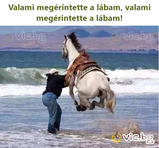 Valami megérintette a lábam, valami megérintette a lábam!