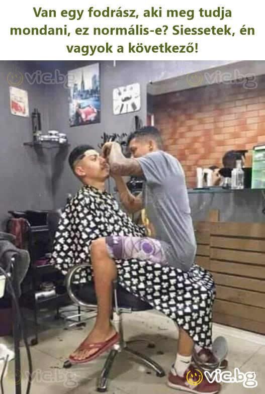 Van egy fodrász, aki meg tudja mondani, ez normális-e? Siessetek, én vagyok a következő!