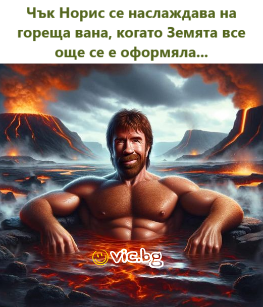 Vettem egy kutyát az Ikeából és magam szereltem össze