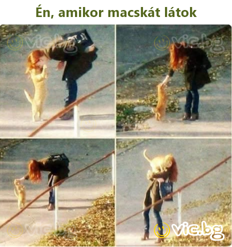 Én, amikor macskát látok