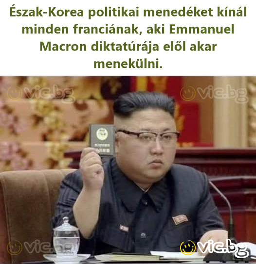 Észak-Korea politikai menedéket kínál minden franciának, aki Emmanuel Macron diktatúrája elől akar menekülni.