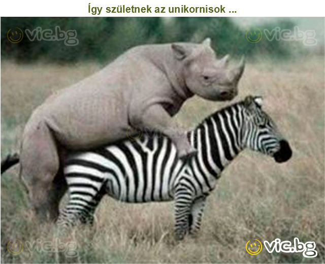 Így születnek az unikornisok ...