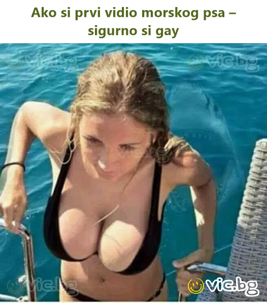 Ako si prvi vidio morskog psa – sigurno si gay