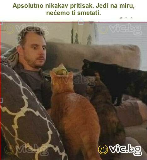 Apsolutno nikakav pritisak. Jedi na miru, nećemo ti smetati.