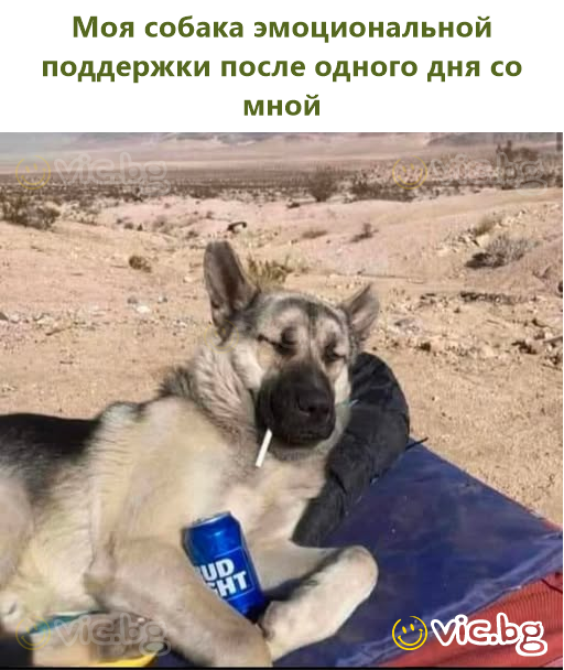 Crvenkapica nije slušala majku... Pinokio je bio lažljivac... Robin Hood je bio lopov... Tarzan je hodao gol i spavao s majmunom... Snjeguljica je živjela sa 7 muškaraca... Pipi su progonile vlasti