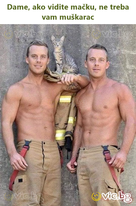 Dame, ako vidite mačku, ne treba vam muškarac