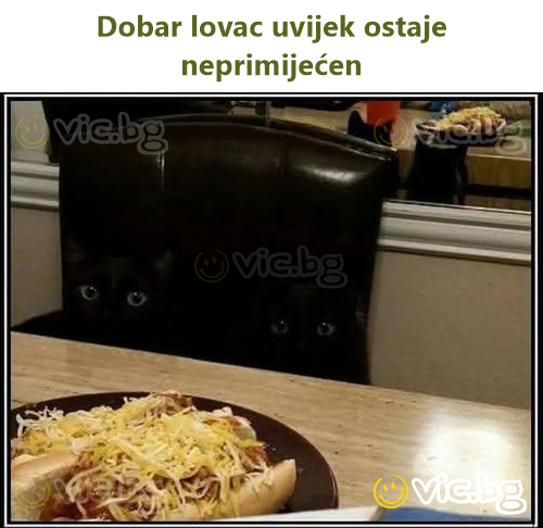 Dobar lovac uvijek ostaje neprimijećen